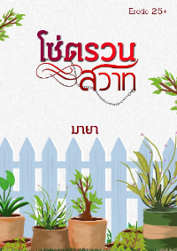 ปก โซ่ตรวนสวาท (จบ)