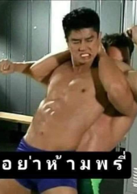 เกิดใหม่กับระบบไร้พ่าย