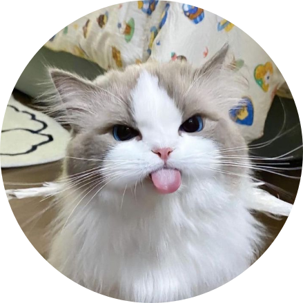 BrownCat
